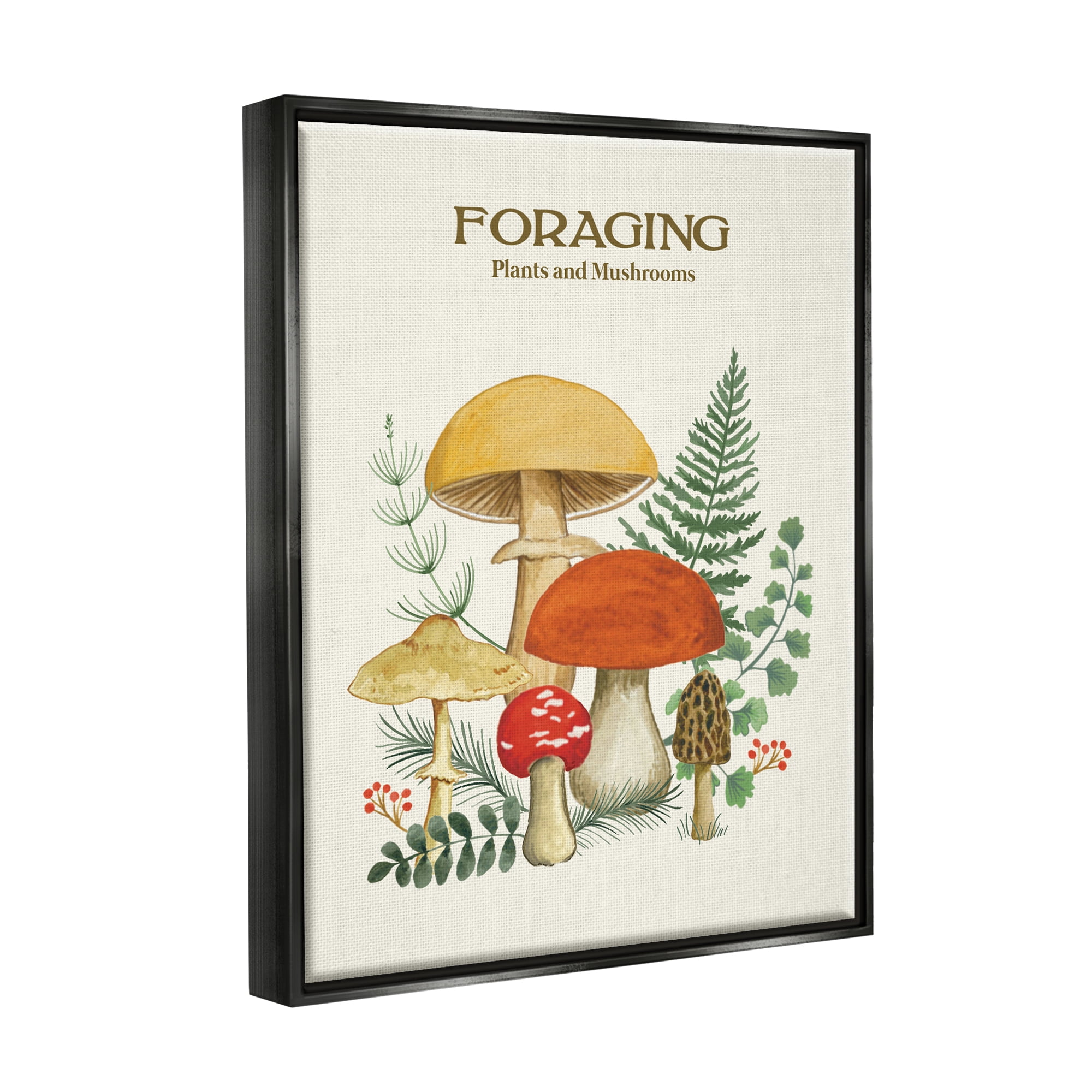 Stupell Industries Botanical Plants & Mushrooms Botanical & Floral Painting Black Floater Framed Art Print Wall Art, 17 x 21