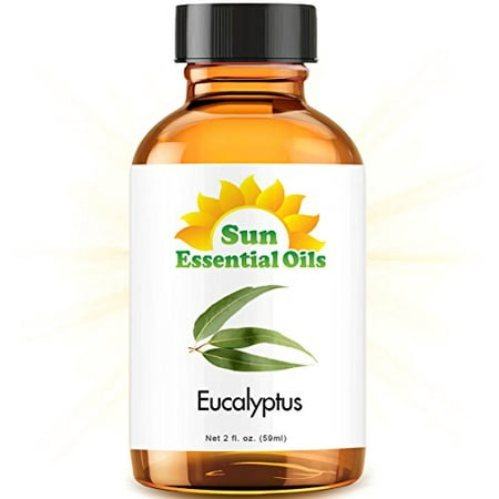 Eucalyptus (2oz) Best Essential Oil