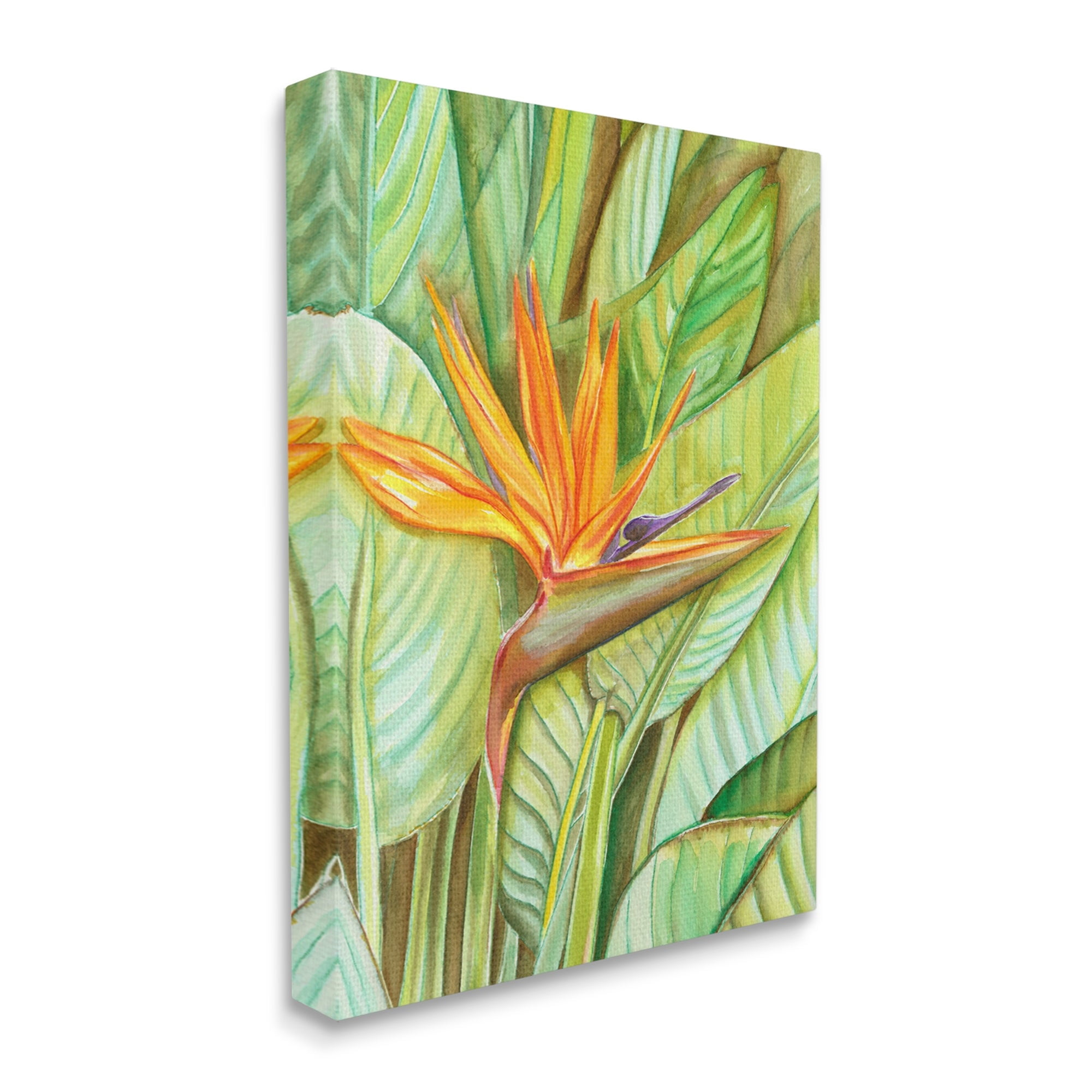 Stupell Industries Bird of Paradise Flower Leaf Petals Blooming Painting Gallery Wrapped Canvas Print Wall Art, Design by Elvira Errico