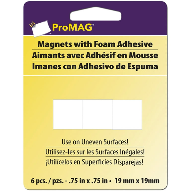 ProMag 1/2" Round Magnets (12 Piece