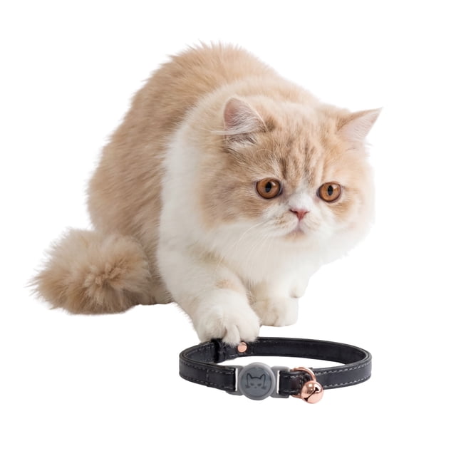 One Paw, Collier de Sécurité pour Chat en Cuir Végan, Fermoir Détachable