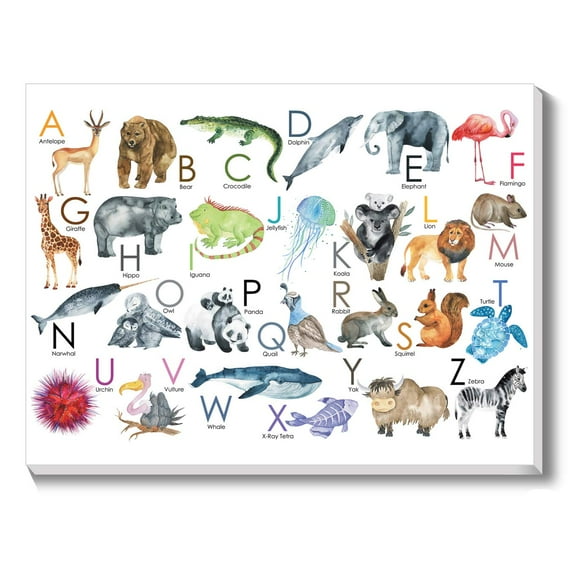 TEXTURE OF DREAMS Kids Alphabet Letters with Pictures on Large Canvas Wall Art, Preschool Learning Educational Posters, Alphabet Zoo Animal ABC for Kids Toddlers, Baby Nursery Art Prints (18" x 24")
