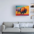 thumbnail image 2 of Trademark Fine Art Marion Rose Spirit Of The Prairie Canvas Wall Art - 14x19, 2 of 4