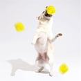 thumbnail image 4 of Pelota calmante para perros Mellowdo amarilla xinyu, 4 of 7