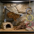 thumbnail image 4 of TIELUTT Interactive Playground Ring with Climbing Net for Small and Cat Chew Bones for Aggressive Chewers Snowman Strong Dog Chew Large Soft Dog Dog Interactive, 4 of 6