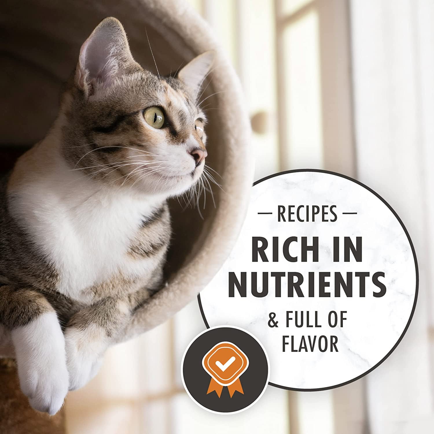 Nutro sensitive sale stomach cat food