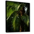 thumbnail image 2 of Designart "Embracing Palm Leaves In The Emerald Jungle II" Palms & Palm Trees Floater Framed Canvas Art Print, 2 of 5