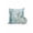 Blue Green Brown, variant on 1 Pack Outdoor Pillows Waterproof, Coastal Starfish Indoor/Outdoor Throw Pillows with Inserts, Nautical Ocean Creature Eucalyptus Leaf Decorative Pillow for Patio Furniture Chairs Couch