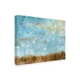 thumbnail image 2 of Trademark Fine Art 'Birds in Flight I' Canvas Art by Megan Meagher, 2 of 4