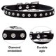 thumbnail image 3 of Collar de perro con remaches de cuero ancho y grueso. Apto para mástiles de 14" a 17", variedad media. MFZFUKR CPB-US-YY824-7, 3 of 5