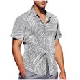 thumbnail image 1 of Pisexur Shirts for Man T Hommes Mode Décontractée Col Rabattu Imprimé Manches Courtes Chemise Boutonnée Blouse Gris, 3TG Chemises de Golf Hommes & Chemises Hommes, 1 of 7