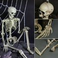 thumbnail image 2 of Mini Human Skeleton Halloween Decorations Party Prop Medical Learning Skeleton Model Gift For Children Kids, 2 of 7