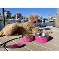 thumbnail image 5 of Black Rhino Dura-Bowl Pink 42 Oz | Double Insulated Steel Food & Water Dog Bowls, 5 of 7