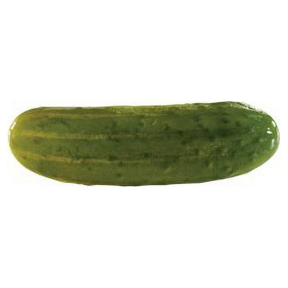 Bay Valley Foods Premium Whole Dill Pickle, 12721281170 (114843)