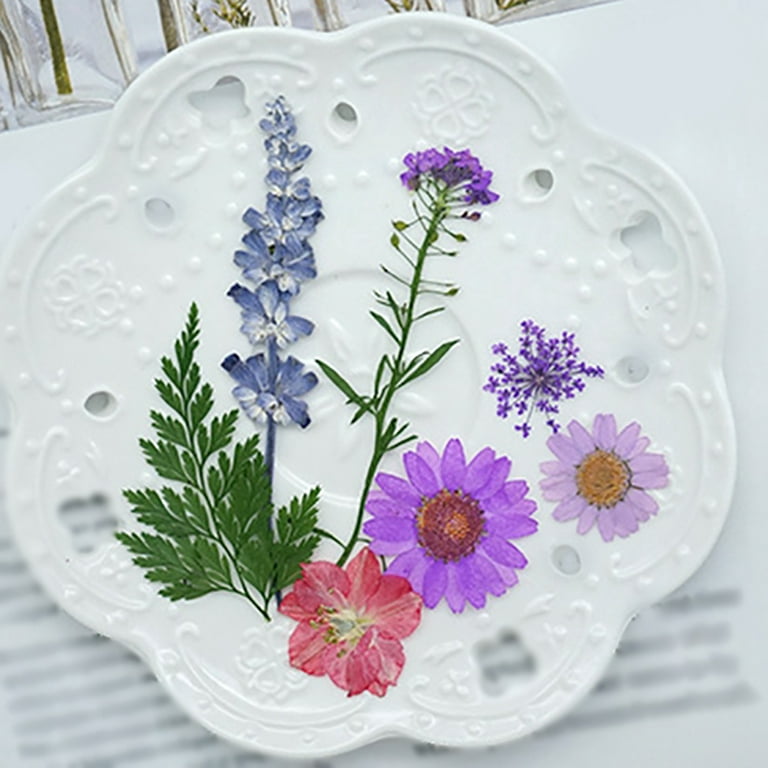  Calm Club, Flower Press Kit, Flower Preservation Kit, Dried  Flowers For Crafts & Pressed Flowers For Crafts, Flower Drying Kit, Dry  Flowers Crafts For Adults