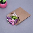 thumbnail image 3 of EIMELI Kraft Paper CD Bag/CD Bag Envelope Antique Imported Kraft Paper Bag, 3 of 6