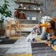 thumbnail image 5 of Pijamas para perros pequeños, mono suave para cachorros y gatos, ropa cómoda para mascotas (), 5 of 5