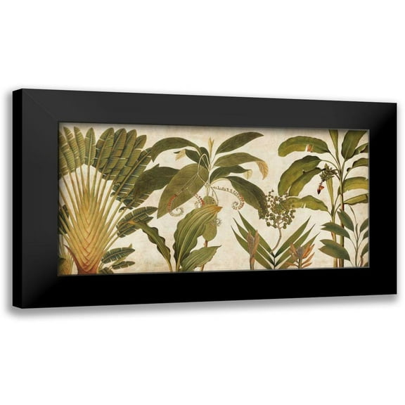 Donovan, Chris 14x9 Black Modern Framed Museum Art Print Titled - Palm Medley