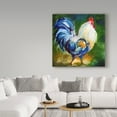 thumbnail image 3 of Trademark Fine Art 'Rooster Walk' Canvas Art by Marcia Baldwin, 3 of 3