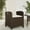 Brown, variant on vidaXL Reclining Patio Chair with Cushions Outdoor Garden Furniture Poly Rattan