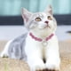 thumbnail image 4 of Apuakthei - Juego de 2 collares de perlas, bonitos collares para perros, gatos, cachorros, gatitos, bodas, fiestas de cumpleaños (M), 4 of 5