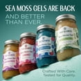 thumbnail image 2 of TrueSeaMoss Wildcrafted Irish Sea Moss Gel – Original, 1 Pack, Natural Seamoss – 16 fl oz Flavored Seaweed Snack, 2 of 9