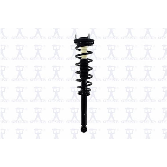 Suspension Strut and Coil Spring Assembly