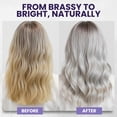 thumbnail image 3 of KESMEDIK Tea Tree Purple Shampoo & Conditioner Set with Rosemary & Aloe, Professional Anti Brass Toner, Removes Yellow Tones for Gray, Bleached, White & Blonde Hair, Refreshes Scalp, Sulfate-Free, 3 of 6
