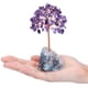 thumbnail image 3 of Injueey Mini árbol de dinero con base de alambre de cobre para decoración de estantería, árbol de dinero, alambre de cobre Jardín y Patio Estilo 4, 3 of 6