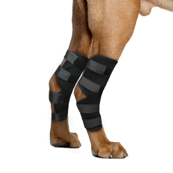 QUETO The additional support wrap for the dog's hind leg hock joints protects wounds while they heal. Compression brace heals and prevents injuries and sprains helps arthritis.