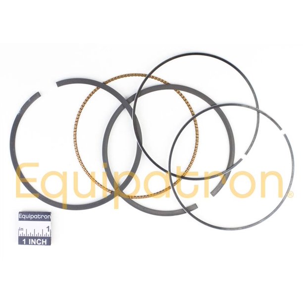 Genuine Briggs & Stratton 794126 Ring Set