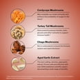 thumbnail image 5 of Kyolic Immune Mushrooms+ - Mushroom & Herbal Dietary Supplement - Wellness & Energy Support* - Chaga, Cordyceps, Turkey Tail & Aged Garlic Extract - 60 Capsules, 5 of 7