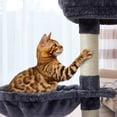 thumbnail image 4 of Cute Cat Tree Kitten Cat Tower for Indoor Cat Condo Sisal Scratching Posts with Jump Platform Cat Furniture Activity Center Play House Smokygrey, 4 of 6