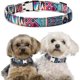 thumbnail image 5 of Collar para perro HUOGUO Flower Girl con flor desmontable M azul, 5 of 5