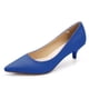 thumbnail image 1 of Zapatos Stunner para mujer, moda clásica, tacón bajo, azul, talla 42, 1 of 5