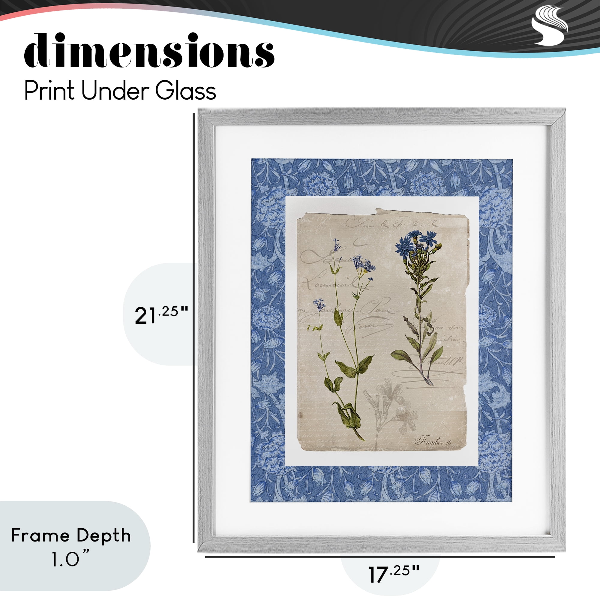 Stupell Industries Blue Vintage Botanicals Gray Framed Print Under Glass, design by Livi Finn