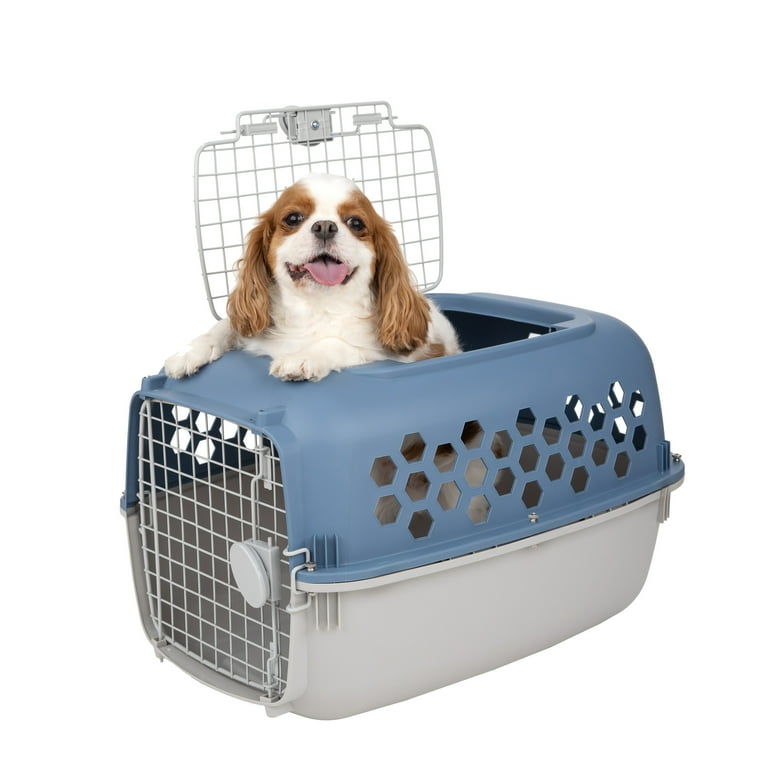 Vibrant Life 24-inch Multicolored Plastic Double Door Dog and Cat