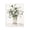 Eucalyptus Botanical Vase, variant on Stupell Industries Transitional Eucalyptus Herbs in Glass Gold Floating Frame Canvas Art, 17 x 21, by Carol Robinson