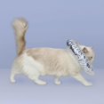 thumbnail image 3 of Collar flexible a prueba de agua para y rascar, cicatrización suave de heridas después de la cirugía, recuperación protectora para gato, Colco  Cono de cuello, 3 of 8