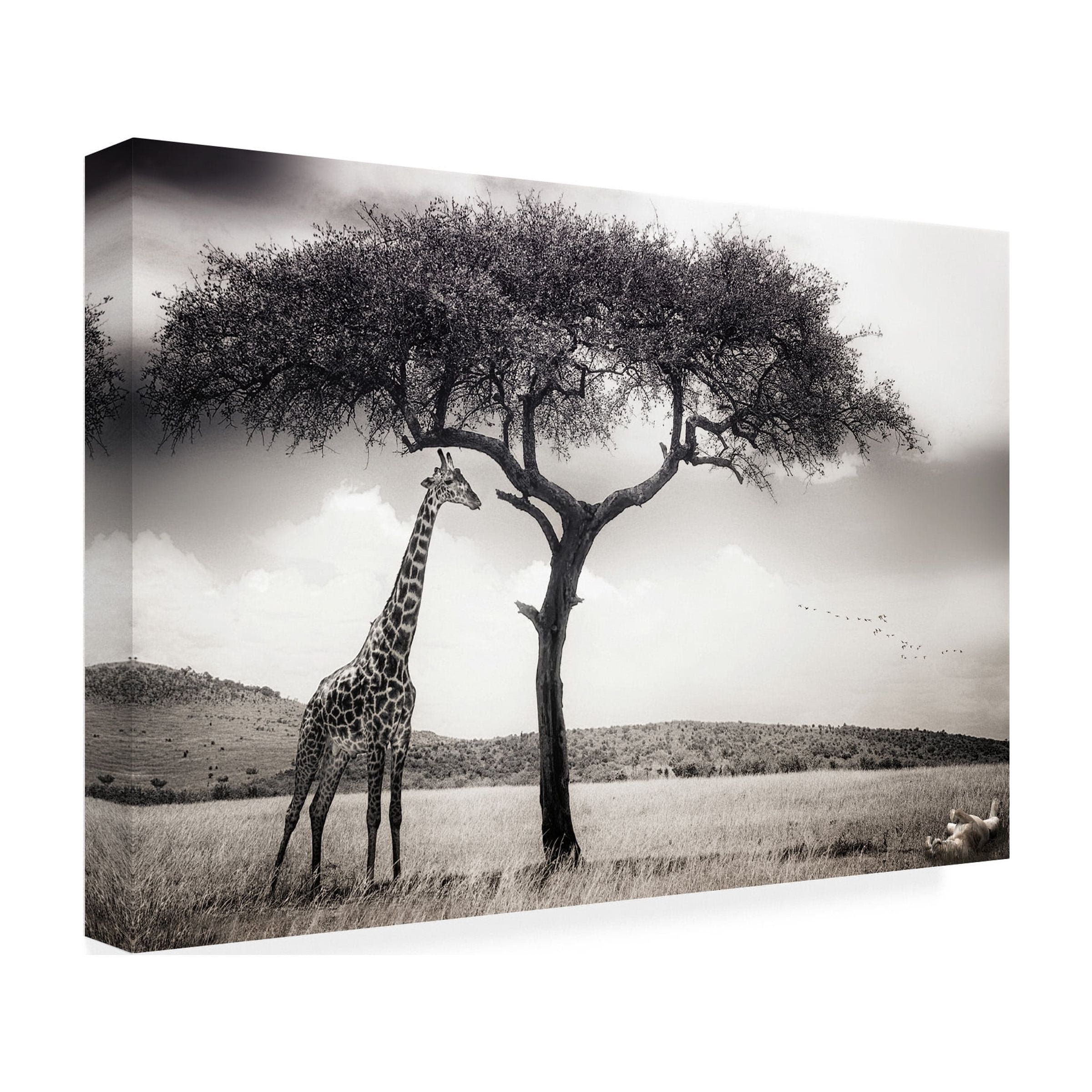 Piet Flour 'Under The African Sun' Canvas Art