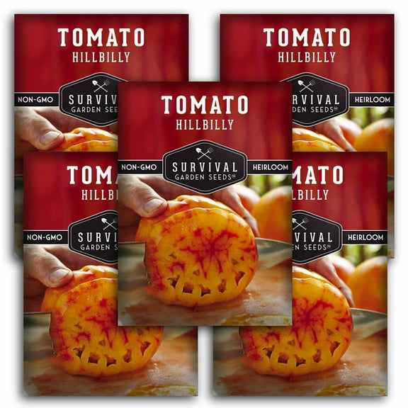 5 packs Hillbilly Tomato Seeds - Non-GMO Heirloom Full Sun Annual Vegetable