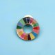thumbnail image 5 of Sustainable Development Goals Brooch United Nations Sdgs Rainbow Pin Badge Medal Representative Brooch Jewelry, 5 of 5