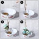 thumbnail image 5 of 8 Piezas Kenzan Japonés para Arreglos Florales, Redondo de 2,4 Pulgadas, Cuadrado de 1,6 Pulgadas, Rectángulo 2,1 Pulgadas X 1,4 Pulgadas y Redondo de 1 Pulgada, 5 of 7