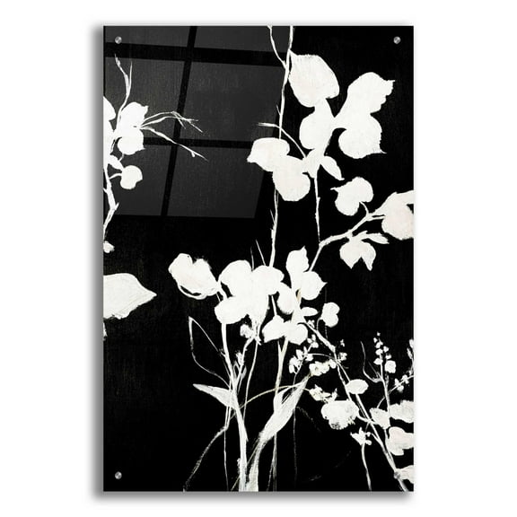 Epic Art 'Silhouette Leaves 1' by Design Fabrikken, Acrylic Glass Wall Art, 24"x36"