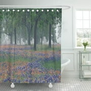 CYNLON Purple Countryside USA Texas Hill Country Field Adam Jones Bathroom Decor Bath Shower Curtain 66x72 inch