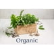 McCormick Gourmet, fines herbes et épices naturelles de première qualité, feuilles de romarin bio, 18g – image 2 sur 2