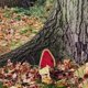 thumbnail image 5 of Miniatura De Hadas Para Decoración De Árboles Tree Hugger Yard Art Para Decoración De Árboles Al Aire Libre Kearding HA043472-03, 5 of 6