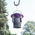 thumbnail image 3 of Dynatrap Solar Outdoor Trap, 3 of 5