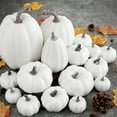 thumbnail image 5 of BinKFF 16 Pcs Assorted Sizes Artificial Pumpkins, Large Black Fake Pumpkin Fall Decor for Autumn Harvest Thanksgiving Halloween Decoration Faux Pumpkins for Outdoor Decorating, 5 of 5