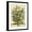Black Frame, variant on Art.com July Art Print by Robert Furber, 12" x 16"